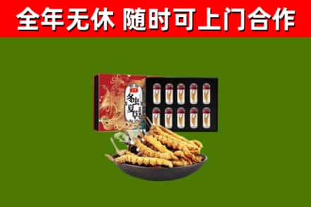 汾西回收冬虫夏草价格